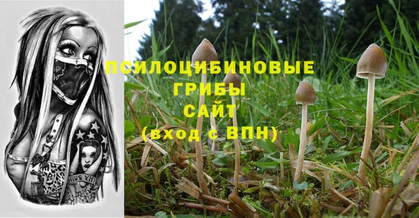 соль курить ск Армянск